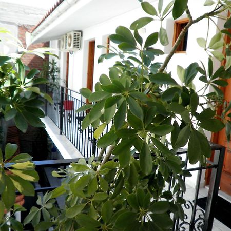 Mimoza Studios 斯基亚索斯镇 外观 照片