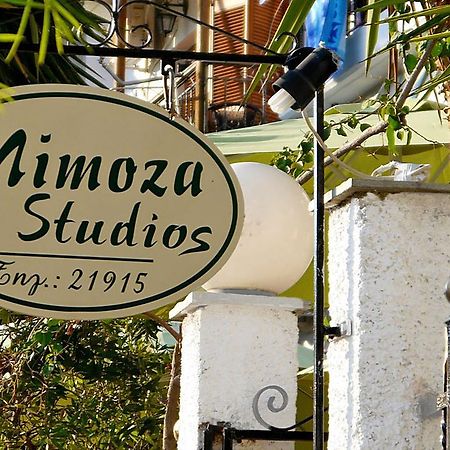 Mimoza Studios 斯基亚索斯镇 外观 照片
